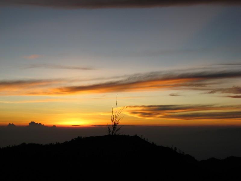 2007 07 15 BALI 0010.jpg